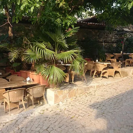 Koral سوزوبول