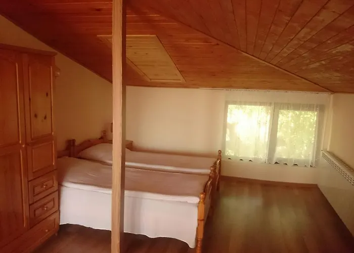 Koral 3*